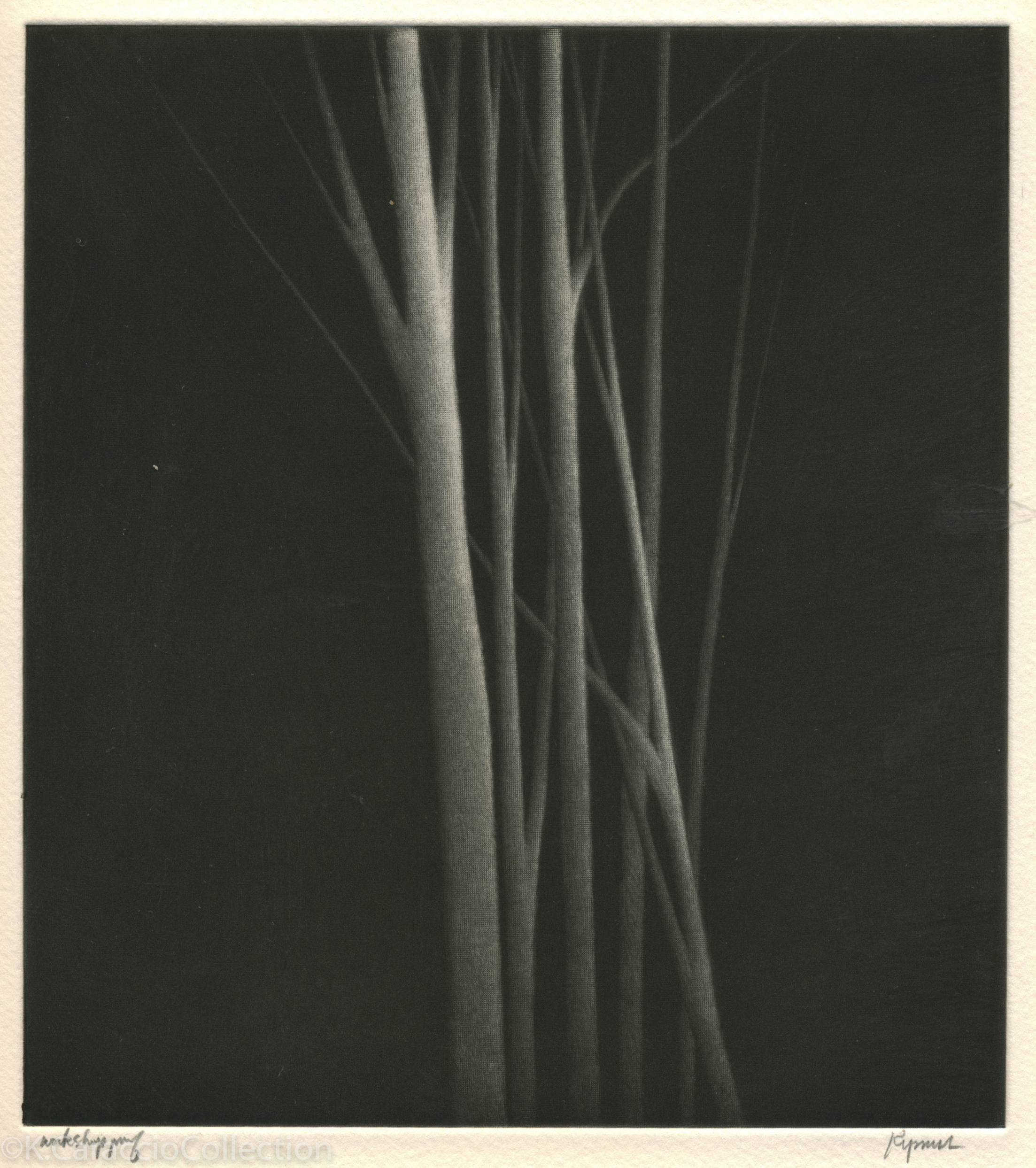 Incandescence, 2000