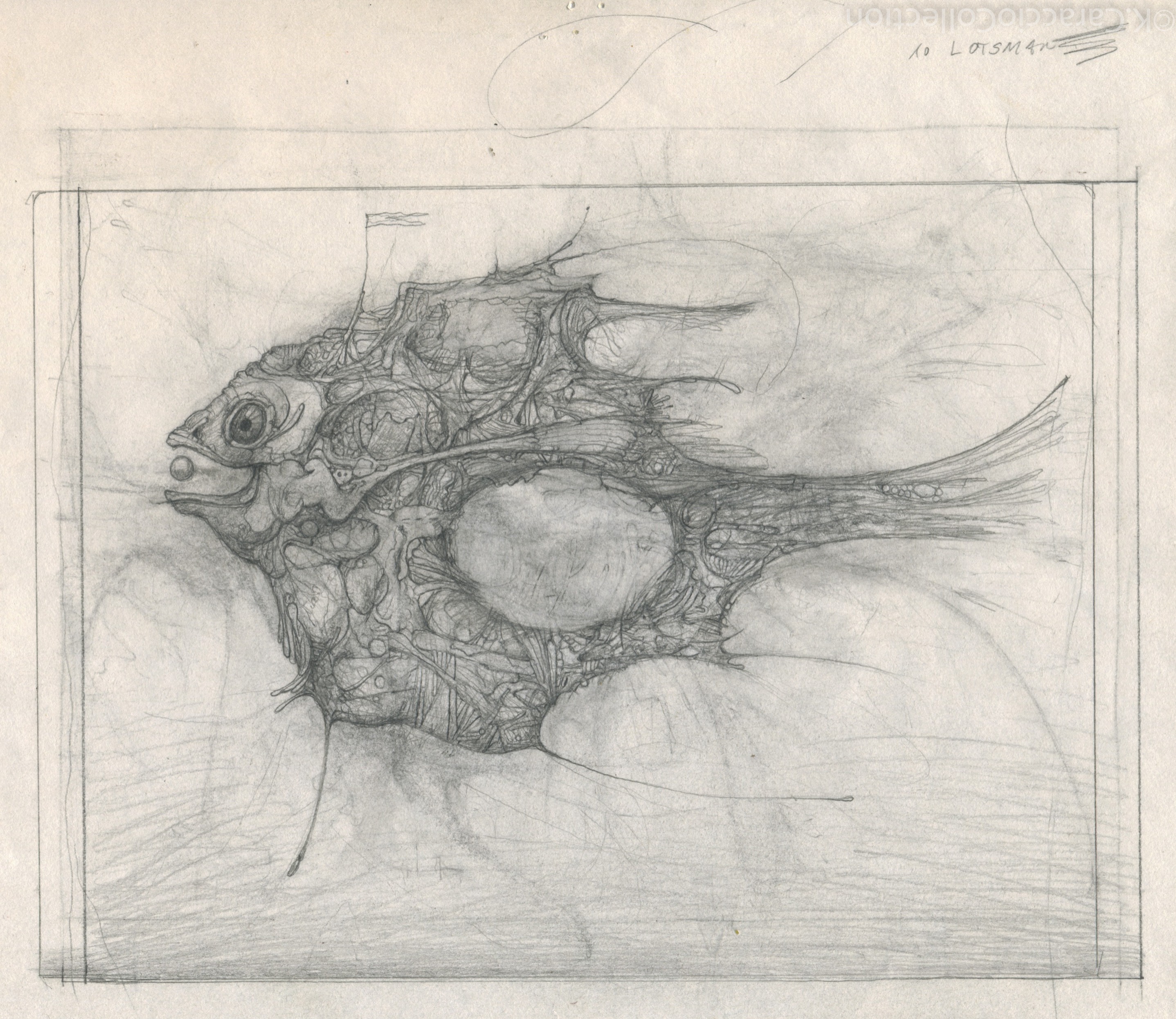No Title, 1996