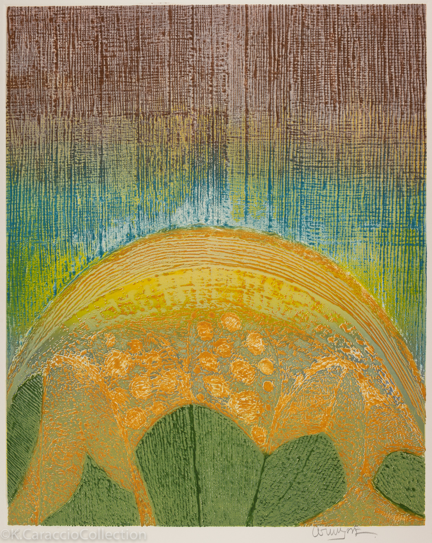 Sunflower, 1982