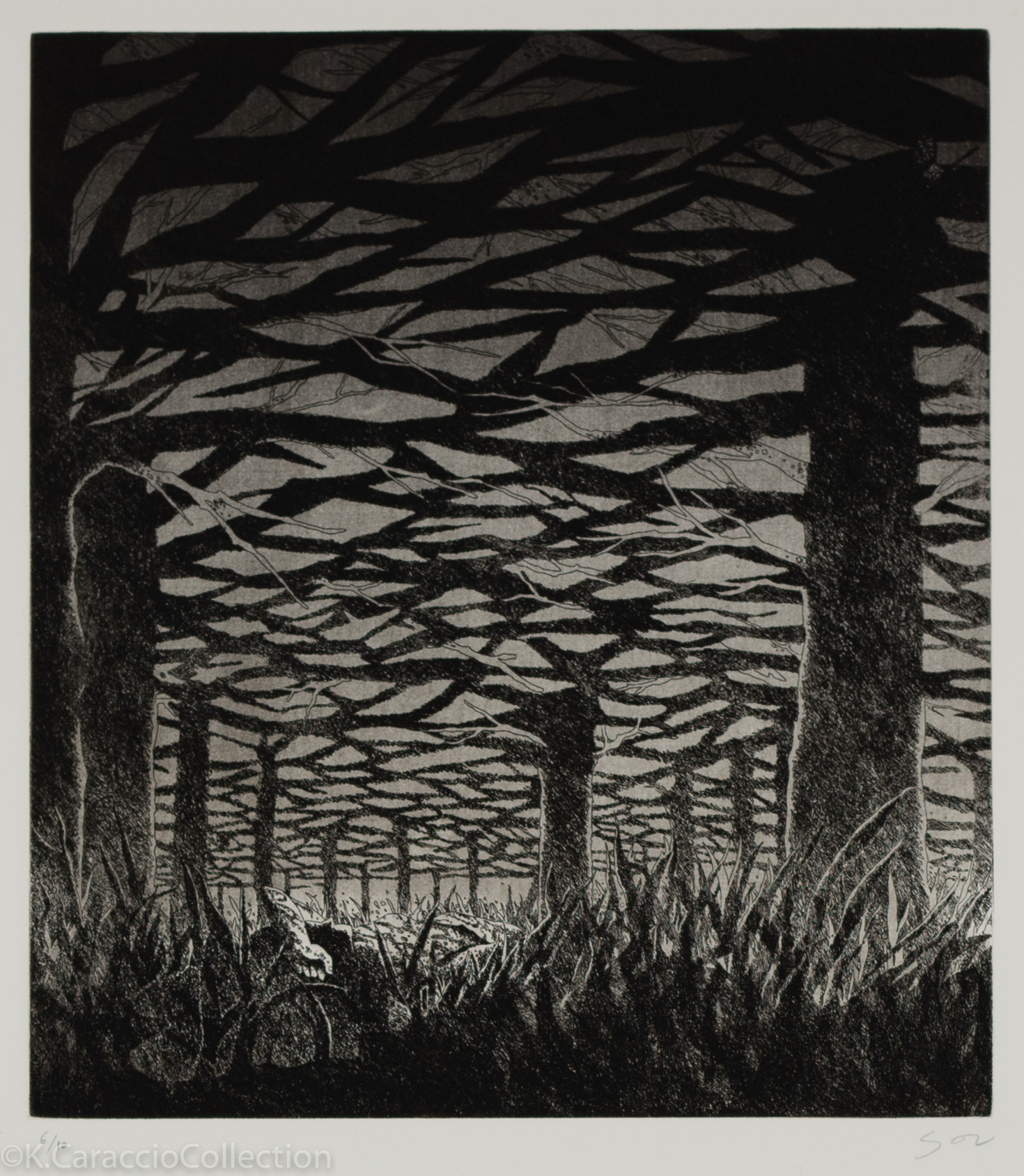 She, Lost IV, 2016