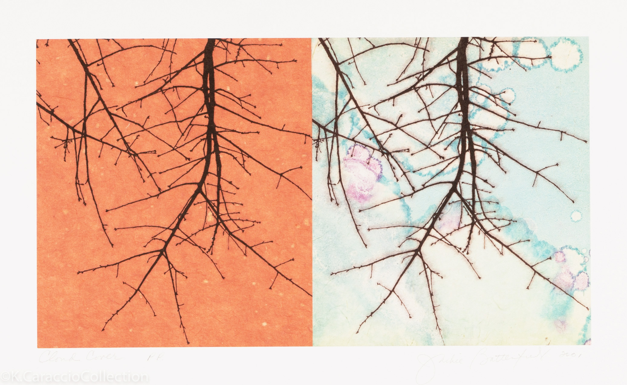 Cloud Cover, 2001
