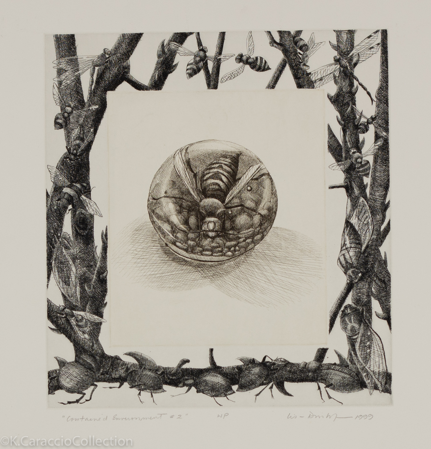 Contained Environment #2, 1999