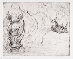"Rhinos", 2007