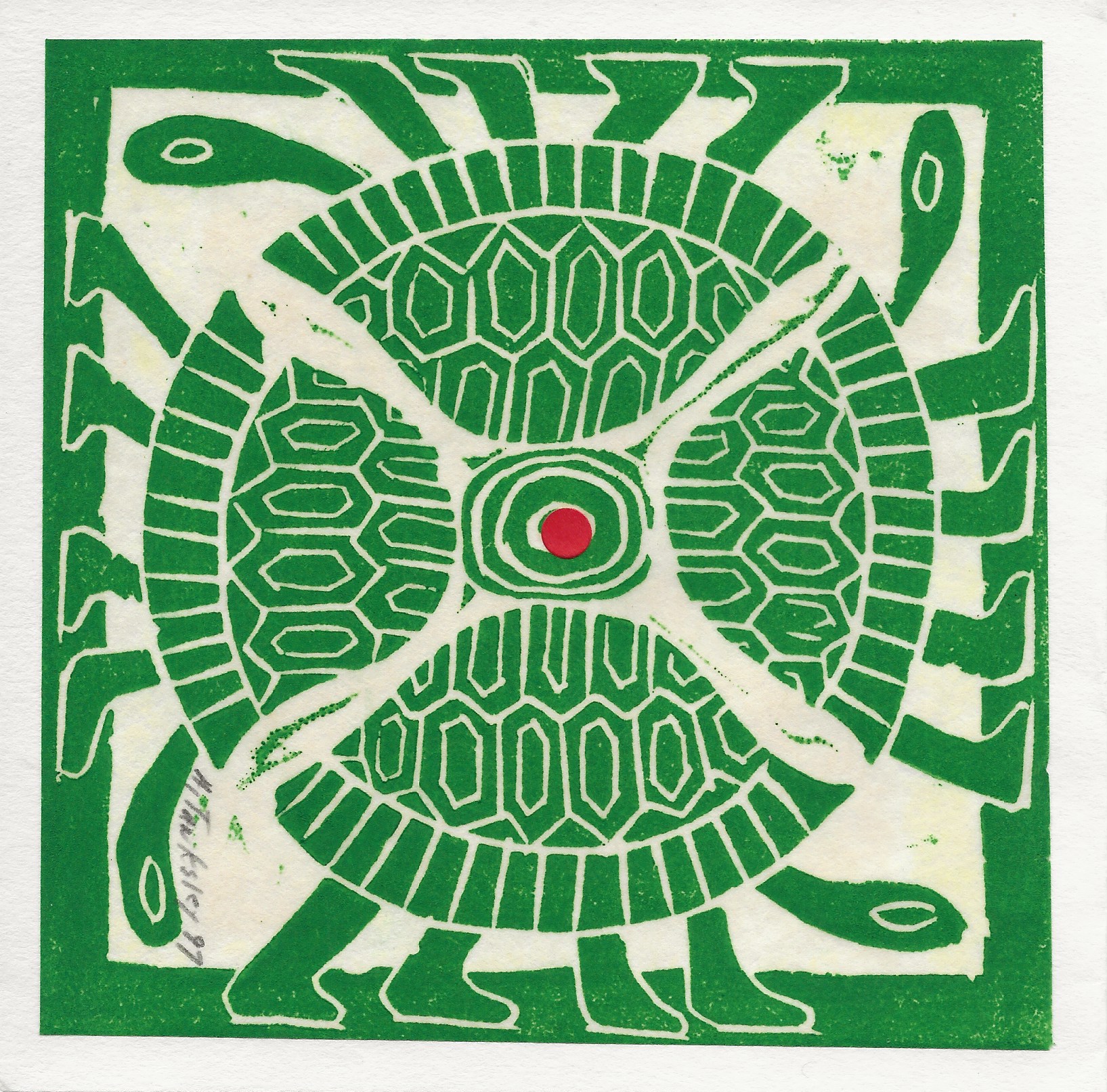 Four green turtles, 1997