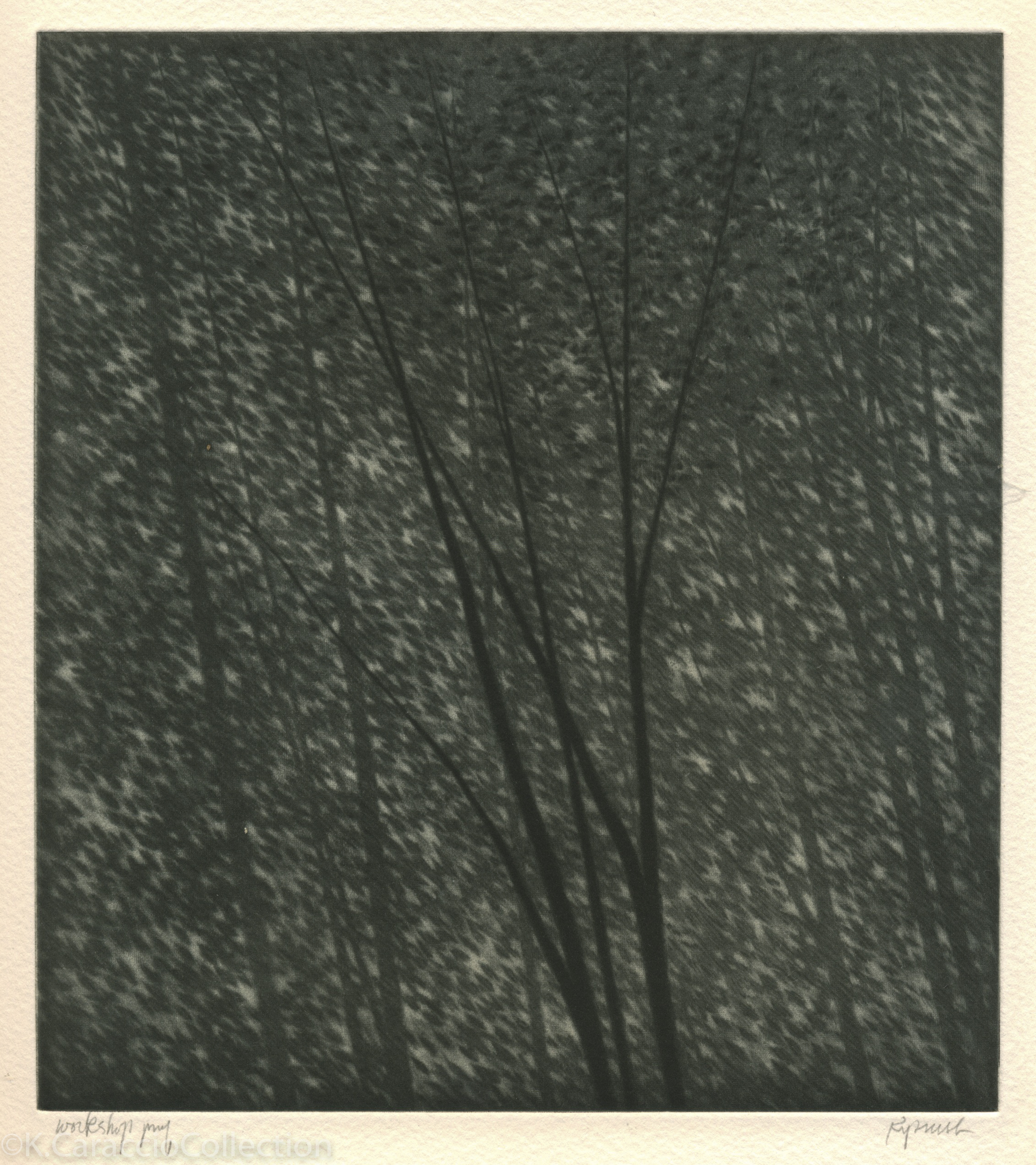 Shelter, 2000