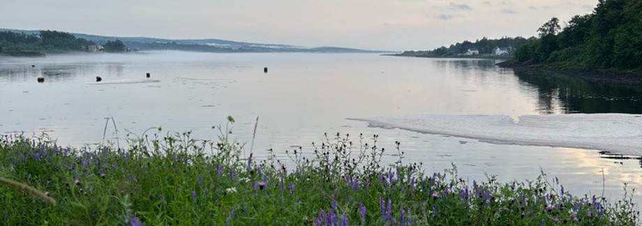 Lower Estuary at dusk with flowers _edited.jpg