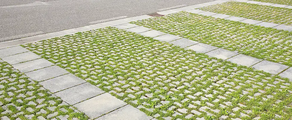 concrete-grass-sidewalk.webp