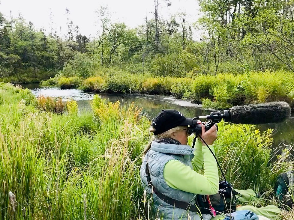 Citizen science program introductions and overview