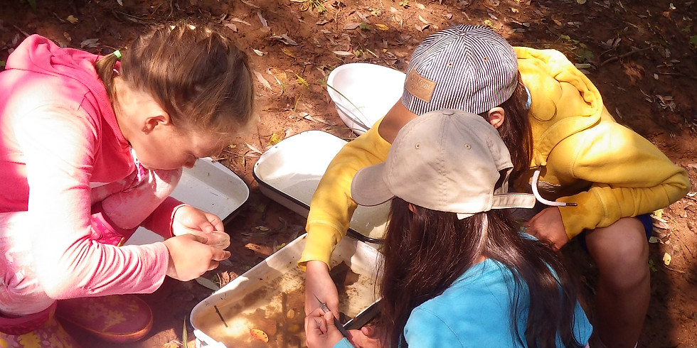 Middleton Wetland Day Camp