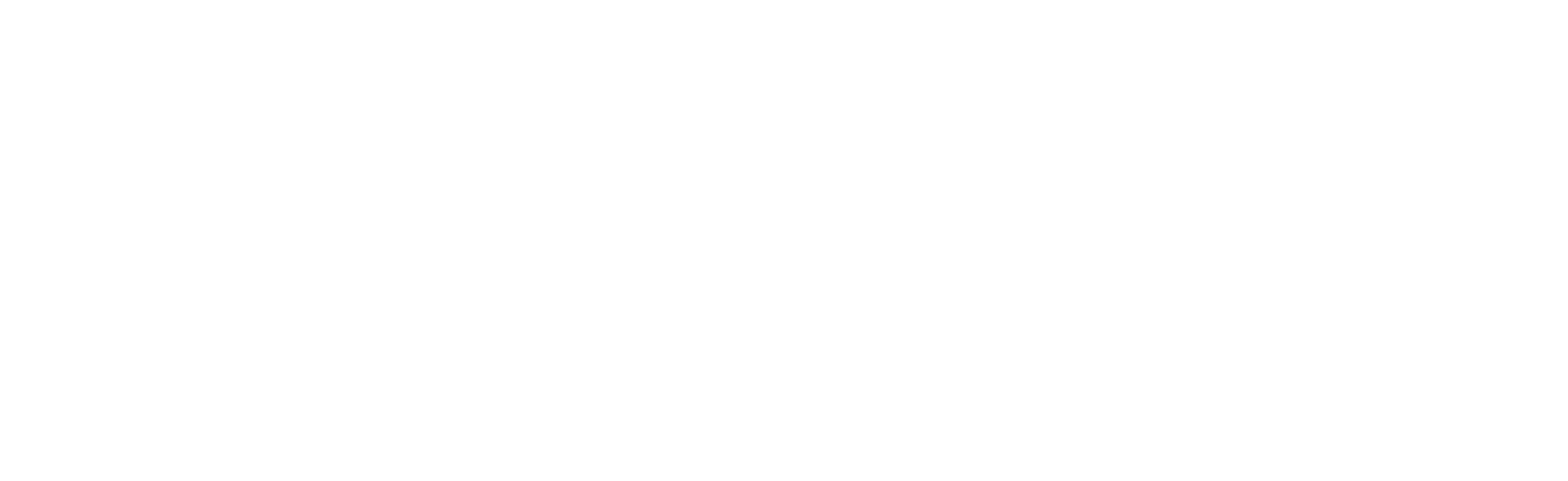 seans salon barbershop logo.png