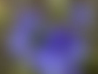 Getting busy outside