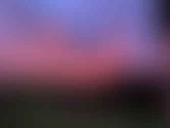 Good morning sunshine!