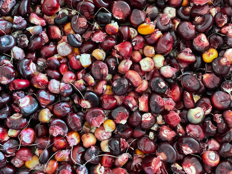 Harvesting for the future