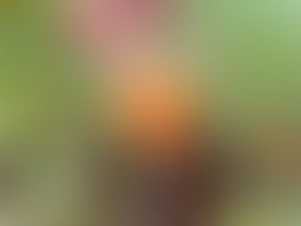 Some harvests aren't easy!