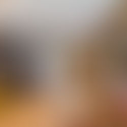 3連引戸を閉めたリビング