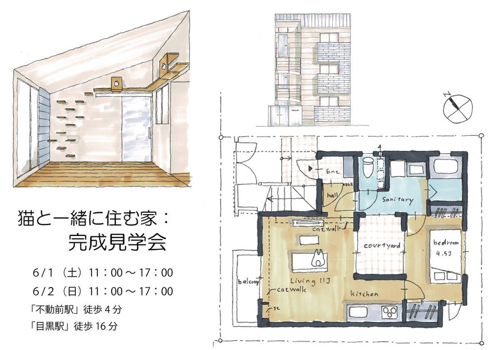 目黒 不動前 猫と住む 都心の中庭のある家 完成見学会