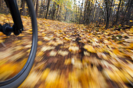 blur_sport_fall-large.jpg