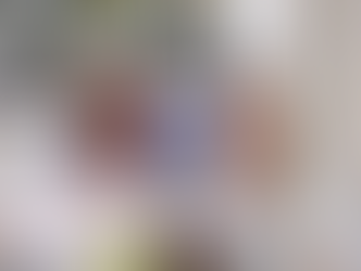 FEDERAÇÕES DO ELO SOCIAL DE TODO O BRASIL SE ORGANIZAM ATRAVÉS DE SEMINÁRIOS