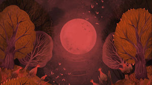 The Tallowood Sessions by Norman Appel