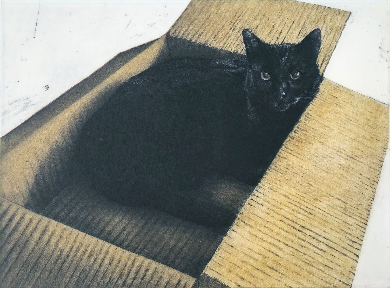 Boxed Moon by Helen Fay