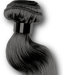 IMG_6541.PNG