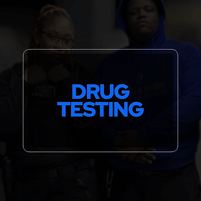 ABUNDANCE INTERNATIONAL PROTECTIVE SERVICES 