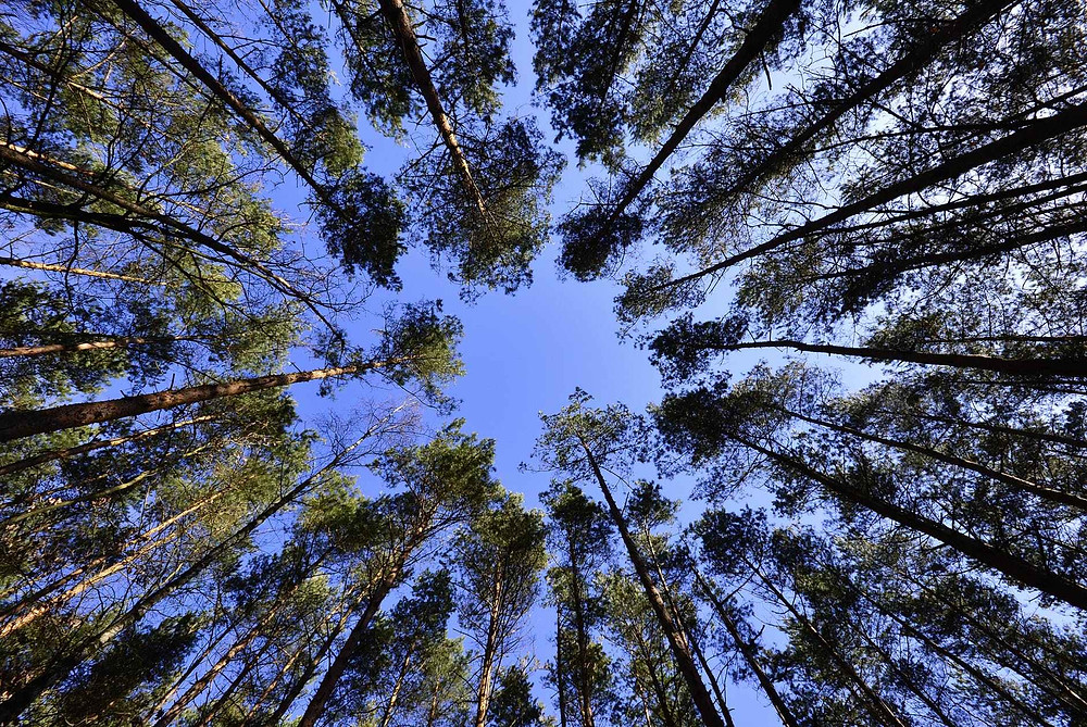 landscape nature sky spring