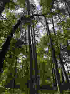 4A47C227-0386-4EC0-9CFA-879162534502