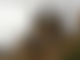 University Enforceable Undertakings