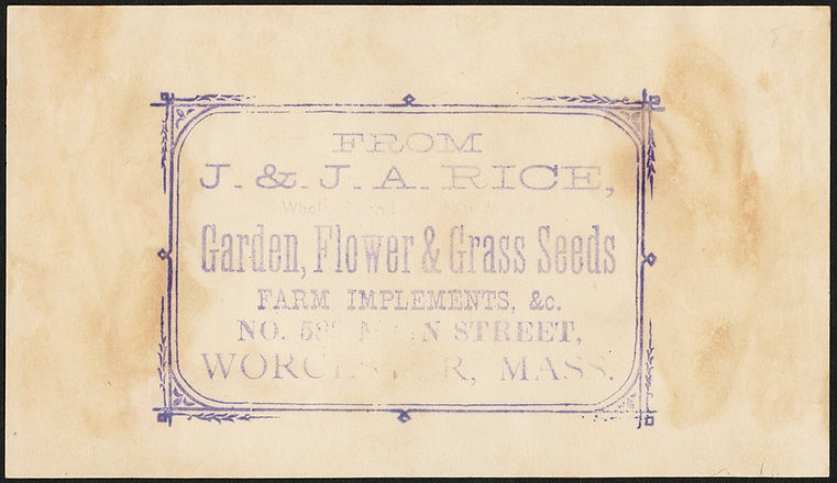 CARD JJA Rice buckeyeB.jpg