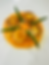 VEGAN "Scallop" Plated Entree