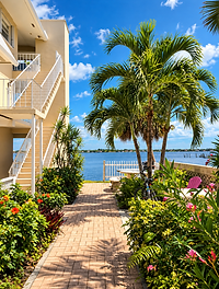 Tropical Waterfront Garden Walkway.png
