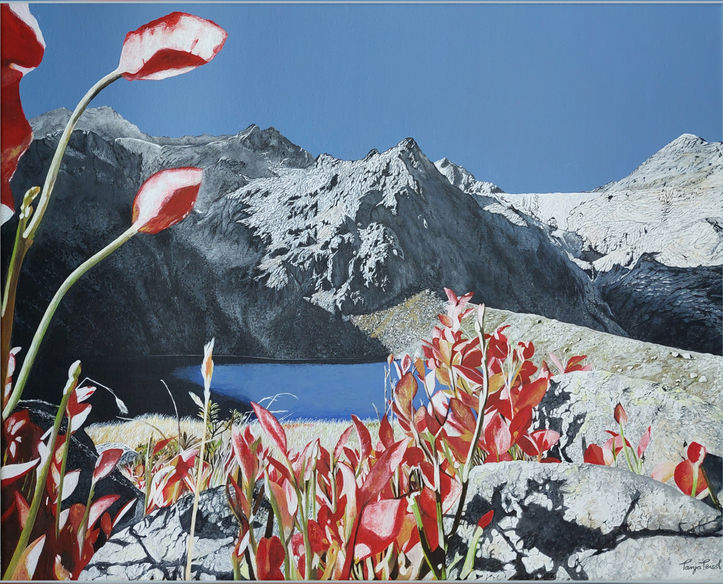 Rote Blätter im Vordergrund, Bergsee und Berggipfel im Hintergrund 