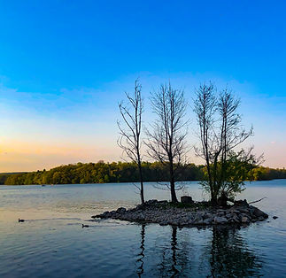 B95B374F-D857-4D77-9332-DD20193E5ECC.JPG