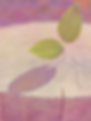 tree regrowth.png