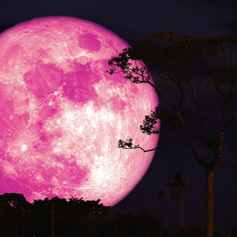 The Beauty and Celebration of the May Flower Moon: How to Embrace its Magic