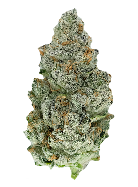 Ice Queen harvested flower, as labeled by the cited photo source