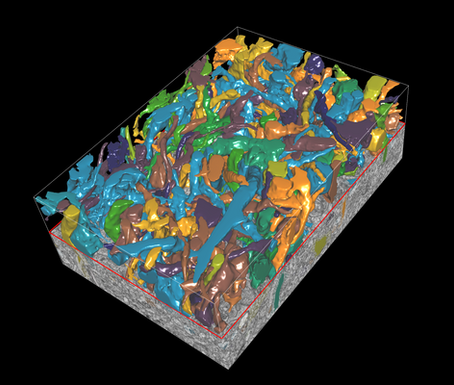 DRVISION wins NIMH SBIR grant to develop the Intelligent Connectomics Analysis platform within Aivia