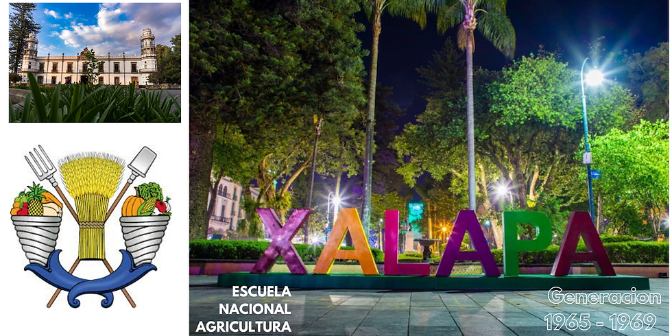 Reunion Generacion 65-69 Xalapa 2026