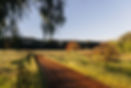 LUKELATTY-SPRINGFIELDFARM-2193.jpg