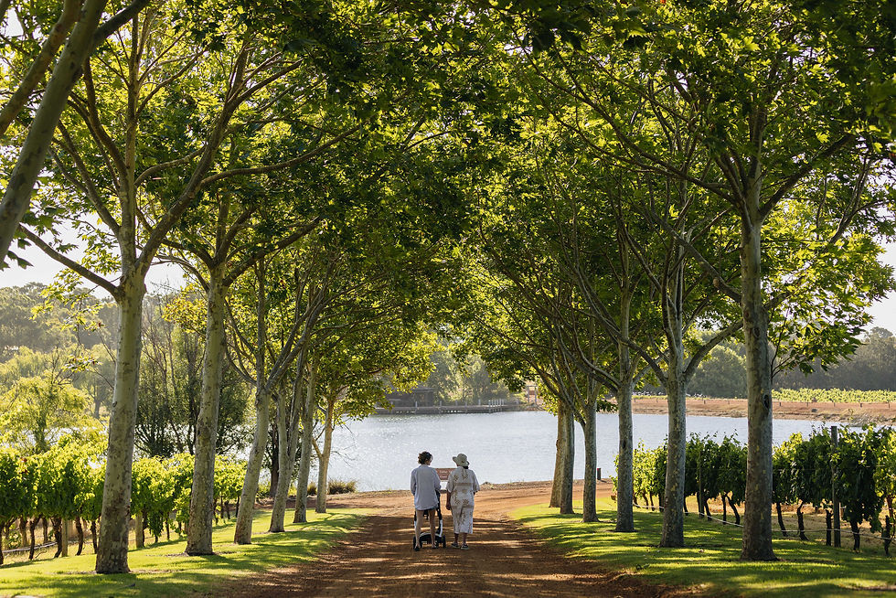 Springfield Farm is an investment for future generations.