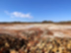 WHIM CREEK COPPER MINE (ENVIRONMENTAL POND REMEDIATION) 3_edited.jpg