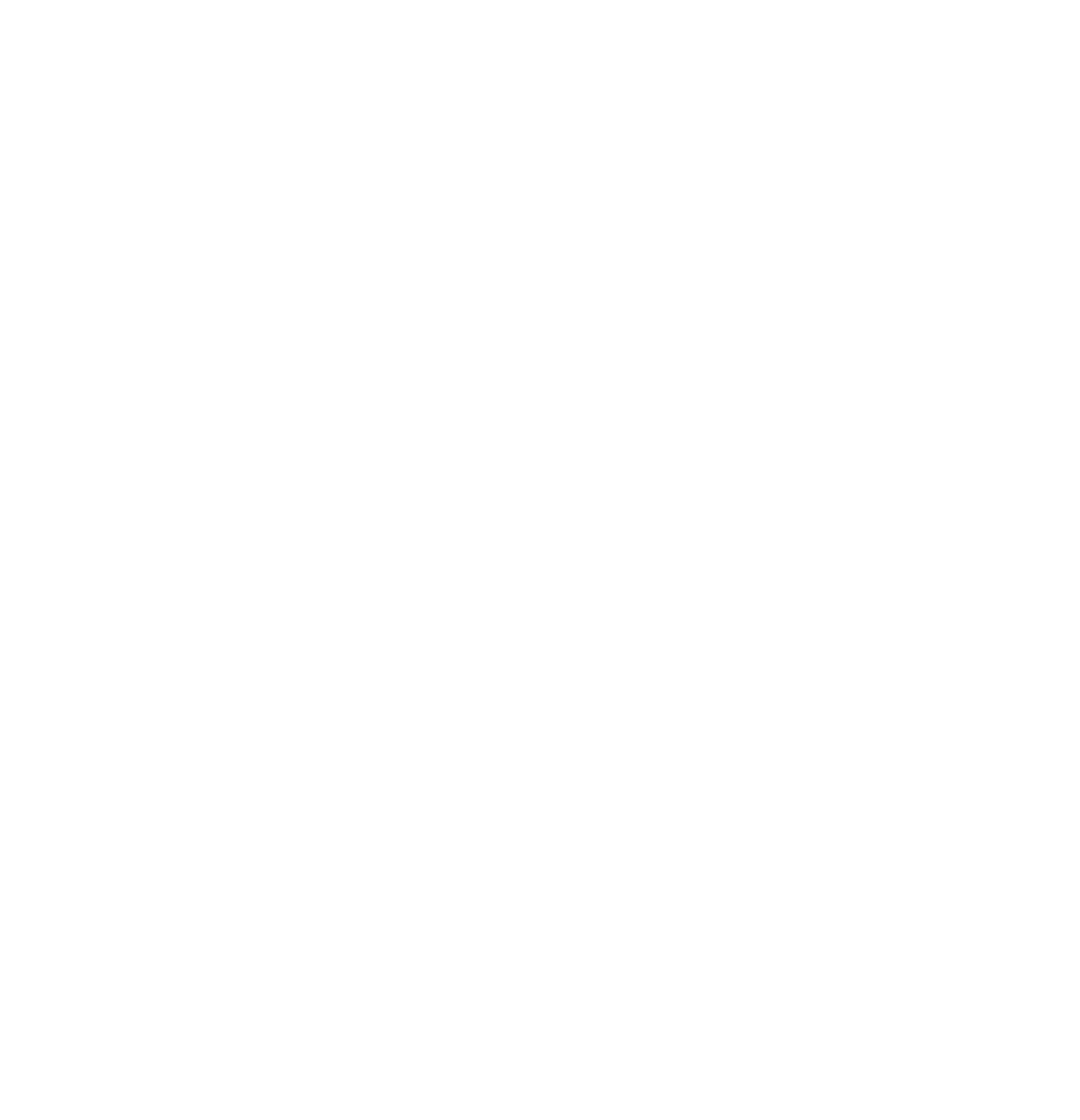 LOGO icon