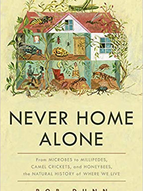 Never Home Alone
