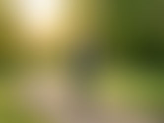 Une femme adulte marche seule dans un parc lumineux, dan une attitude calme et sereine. Cette scène symbolise le chemin pour sortir de la dépendance affective, retrouver confiance en soi, apprendre à poser ses limites et développer une plus grande autonomie émotionnelle