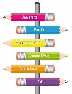 Panneau d'orientation scolaire présentant plusieurs parcours possibles : université, bac professionnel, filière générale, grande école, alternance et CAP.