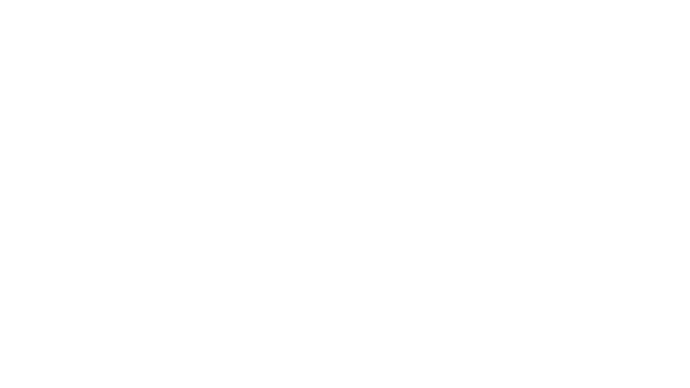 bluebee.png