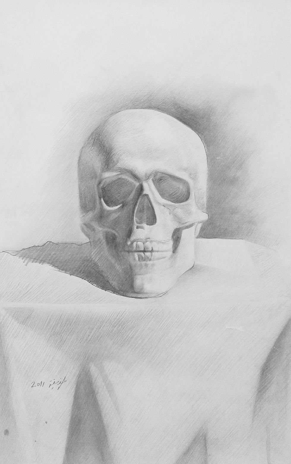 Skull Anatomy 2011