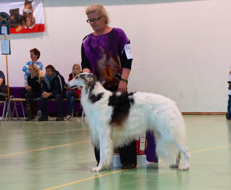 Luna BIS 3