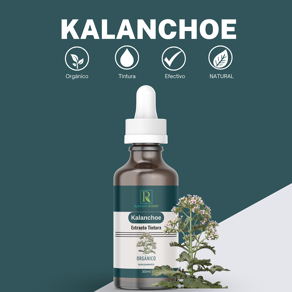 Miniatura: Lote 2 Kalanchoe Extracto Natural Orgánico 30 ml